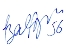 Babar signature